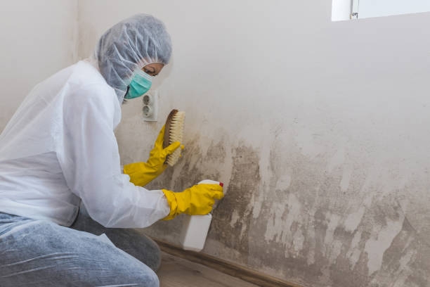 Best Biohazard Mold Removal  in Shaw Heights, CO