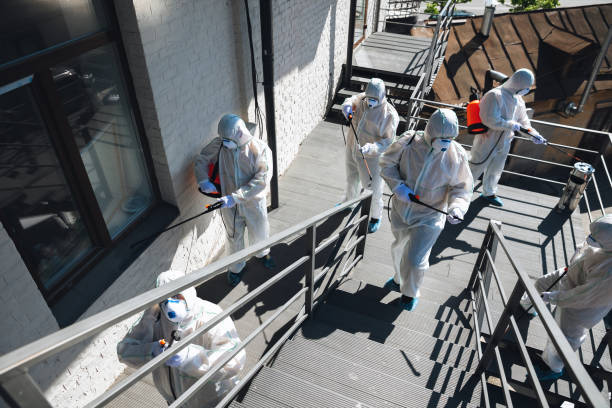 Best Black Mold Removal  in Shaw Heights, CO