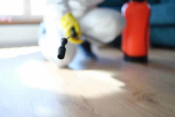 Best Comprehensive Air Testing for Mold Contaminants  in Shaw Heights, CO