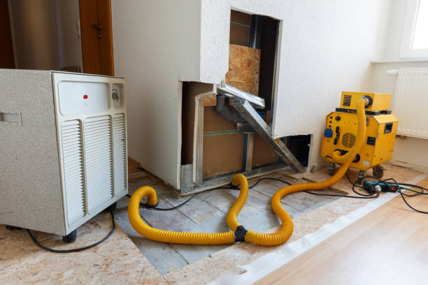 Best Dehumidification Services  in Shaw Heights, CO